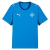Maglia Islanda Primo Mondiali 2026 Maniche Corte - Uomo