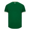 Maglia Irlanda Primo 2026-27 Maniche Corte - Uomo