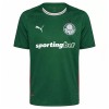 Maglia Palmeiras Primo 2026-27 Maniche Corte - Uomo