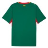 Maglia Senegal Secondo Mondiali 2026 Maniche Corte - Uomo