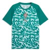 Maglia Portogallo Pre-Match Mondiali 2026 Maniche Corte Verde - Uomo