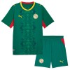 Divisa Senegal Secondo Mondiali 2026 Maniche Corte - Bambino Divisa Senegal Secondo Mondiali 2026 Maniche Corte - Bambino