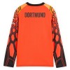 Divisa Portiere Borussia Dortmund Primo 2026-27 Maniche Lunghe Arancia - Bambino