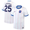 Maglia Chelsea Caicedo 25 Terzo 2026-27 Maniche Corte - Uomo Maglia Chelsea Caicedo 25 Terzo 2026-27 Maniche Corte - Uomo